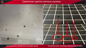 Универсальная клеевая пластина «PCG-200» для промышленных уф-ловушек (Россия)