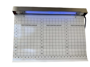 PCG-UV-80GR-1 LED IP65 (160-180м2) AISI 304