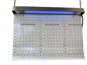 PCG-UV-80GR-2 LED IP65 (280-300м2) AISI 304