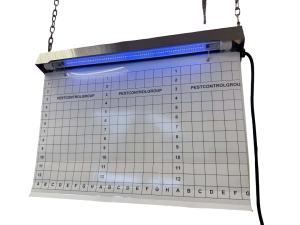 PCG-UV-80GR-2 LED IP65 (280-300м2) AISI 304